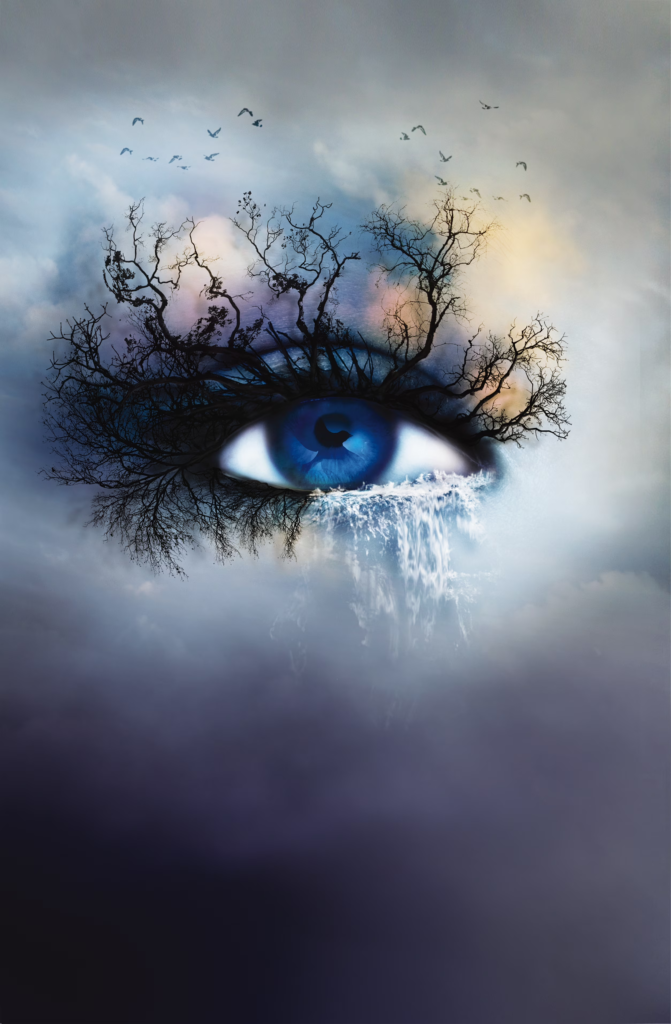 Shatter Me (Shatter Me, 1) (Collector's Deluxe Edition) by Tahereh Mafi cover